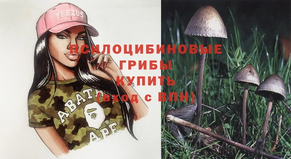хмурый Богданович