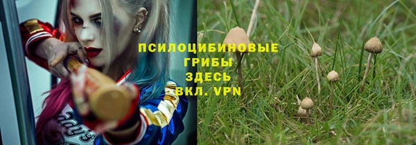 a pvp Богородск