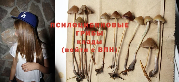 хмурый Богданович