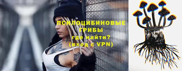 хмурый Богданович