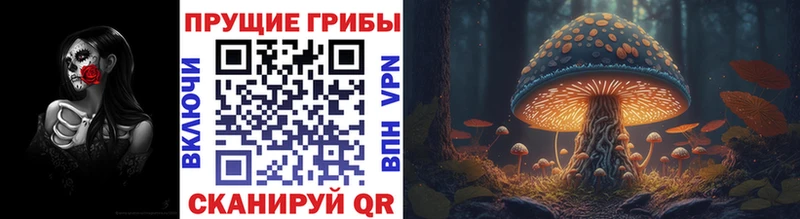 Псилоцибиновые грибы Psilocybine cubensis Дудинка